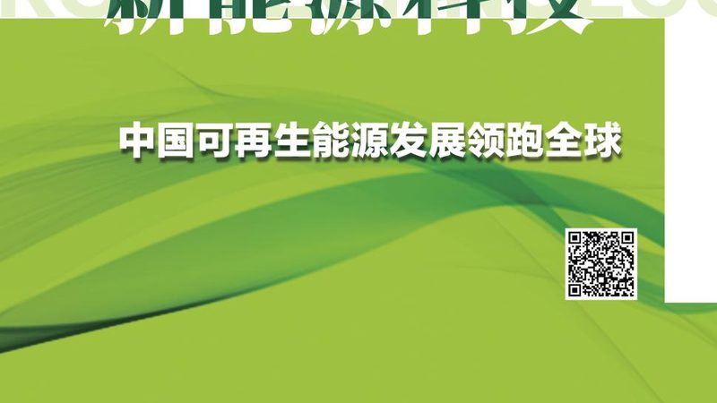 磷酸铁锂电池厂家资质，揭秘背后的标准与考量**
